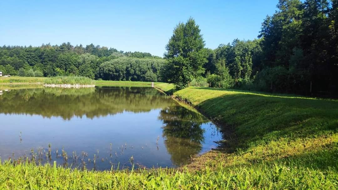 Agroturystyka Chycina Kültér fotó