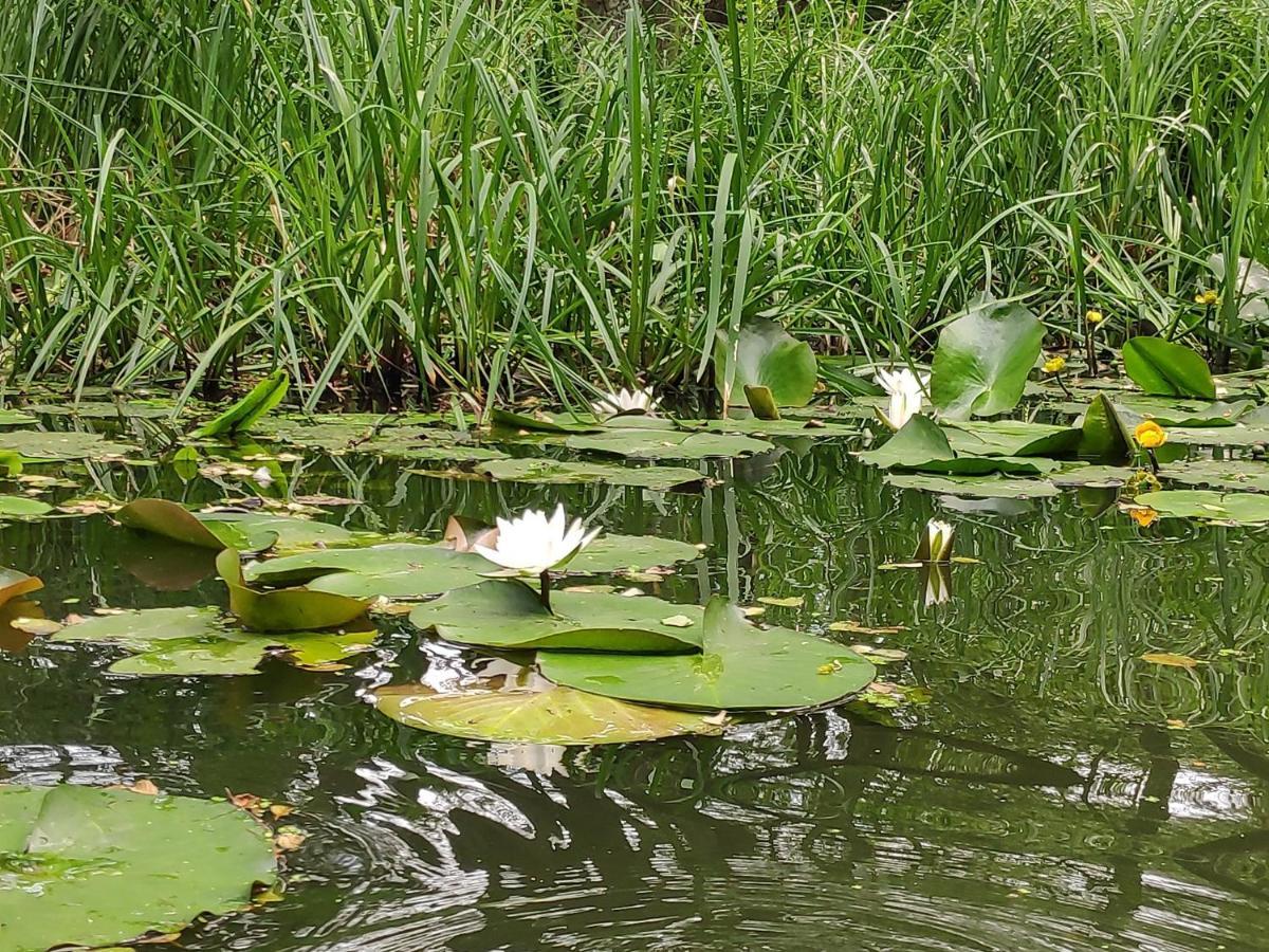 Agroturystyka Chycina Kültér fotó