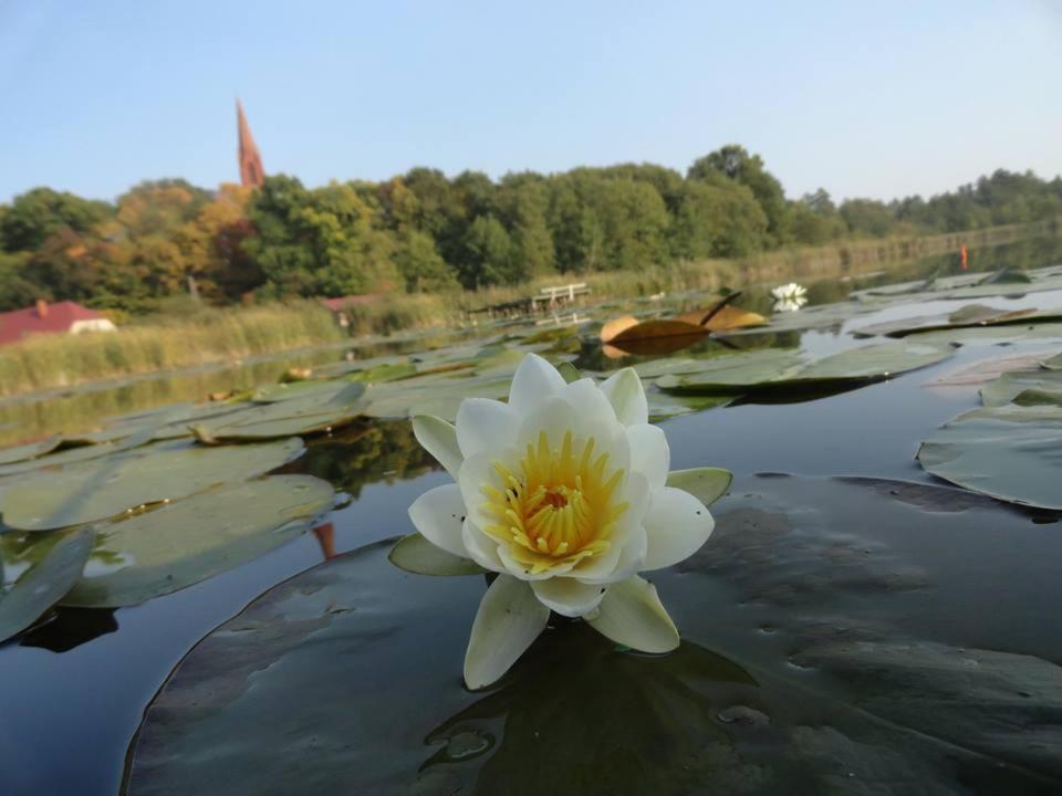 Agroturystyka Chycina Kültér fotó